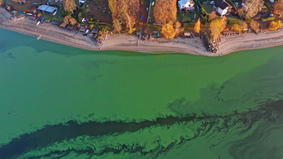 „Zelené“ Lipno je na tom špatně a apartmány to ještě zhorší, říká vědec